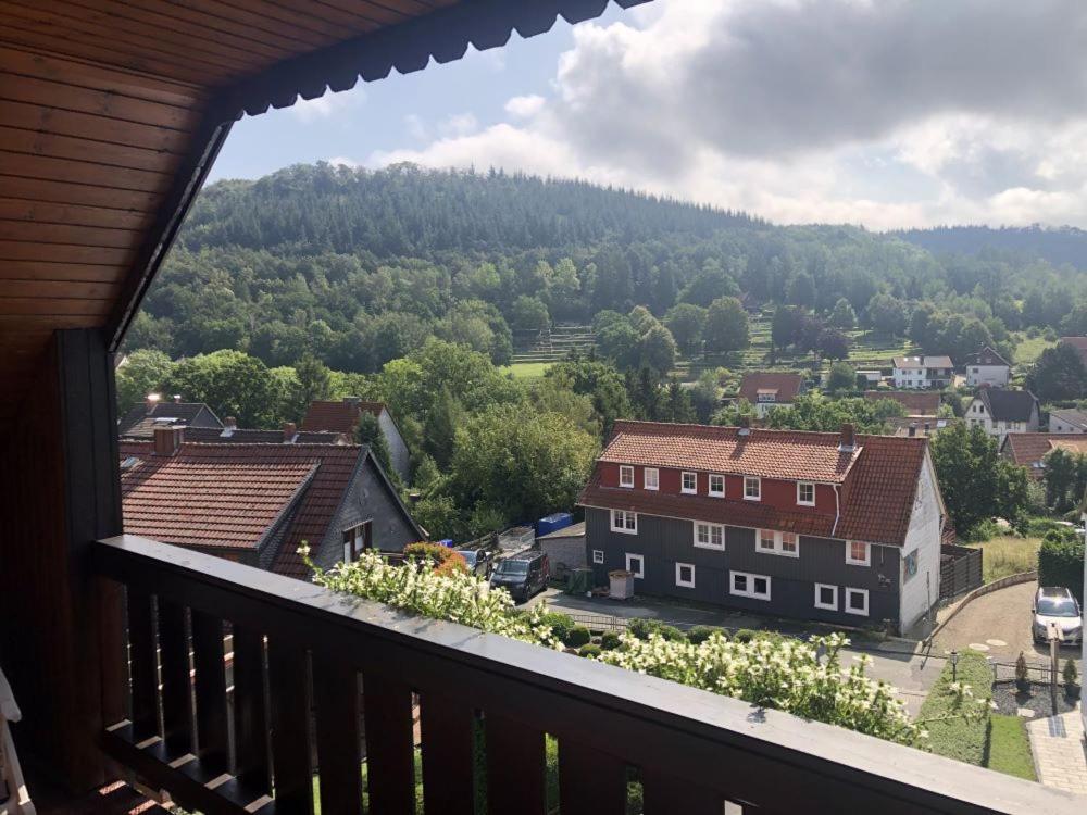 Harzhotel Gruenett Langelsheim Buitenkant foto