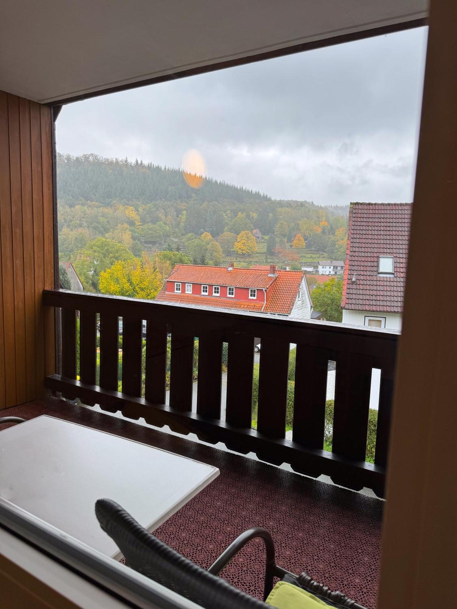 Harzhotel Gruenett Langelsheim Buitenkant foto